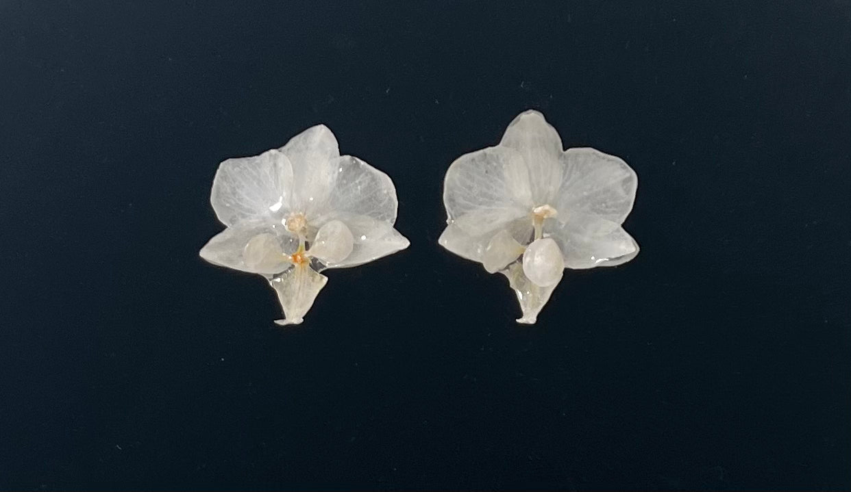 White Orchid