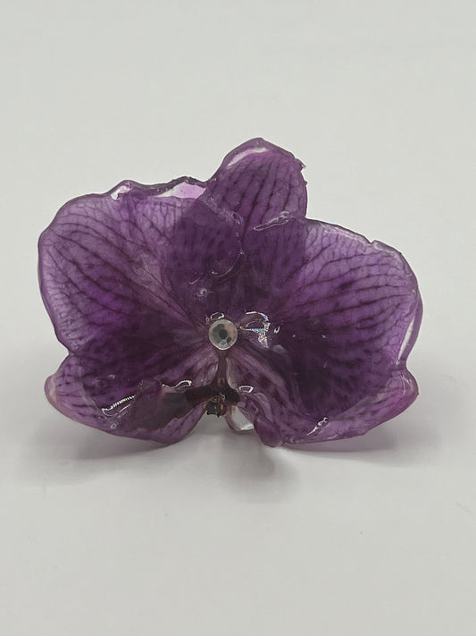 Purple Ring