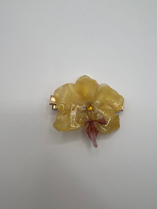 Sunny Hair Clip