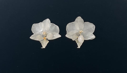 White Orchid