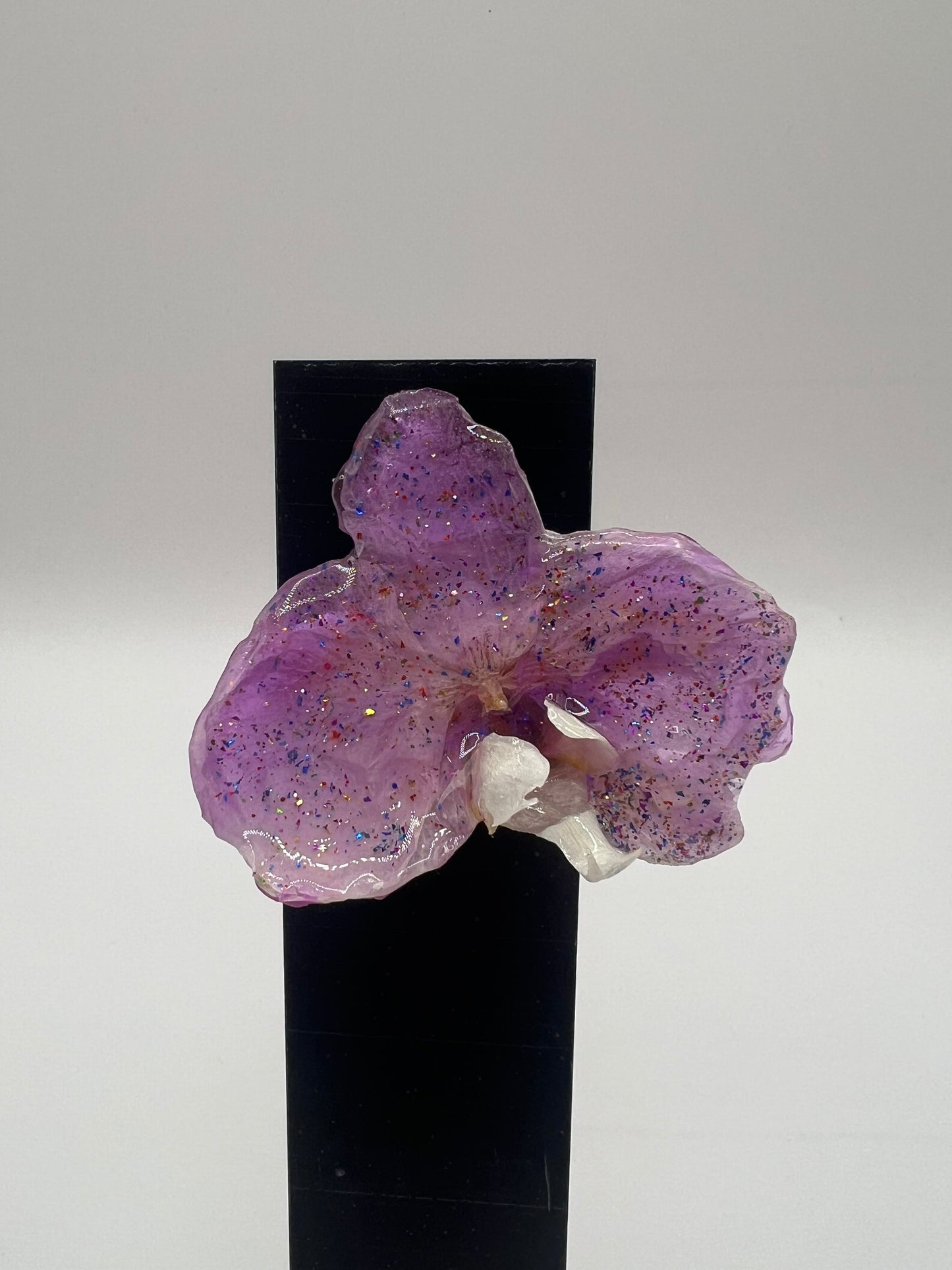 Fiesta Hair clip